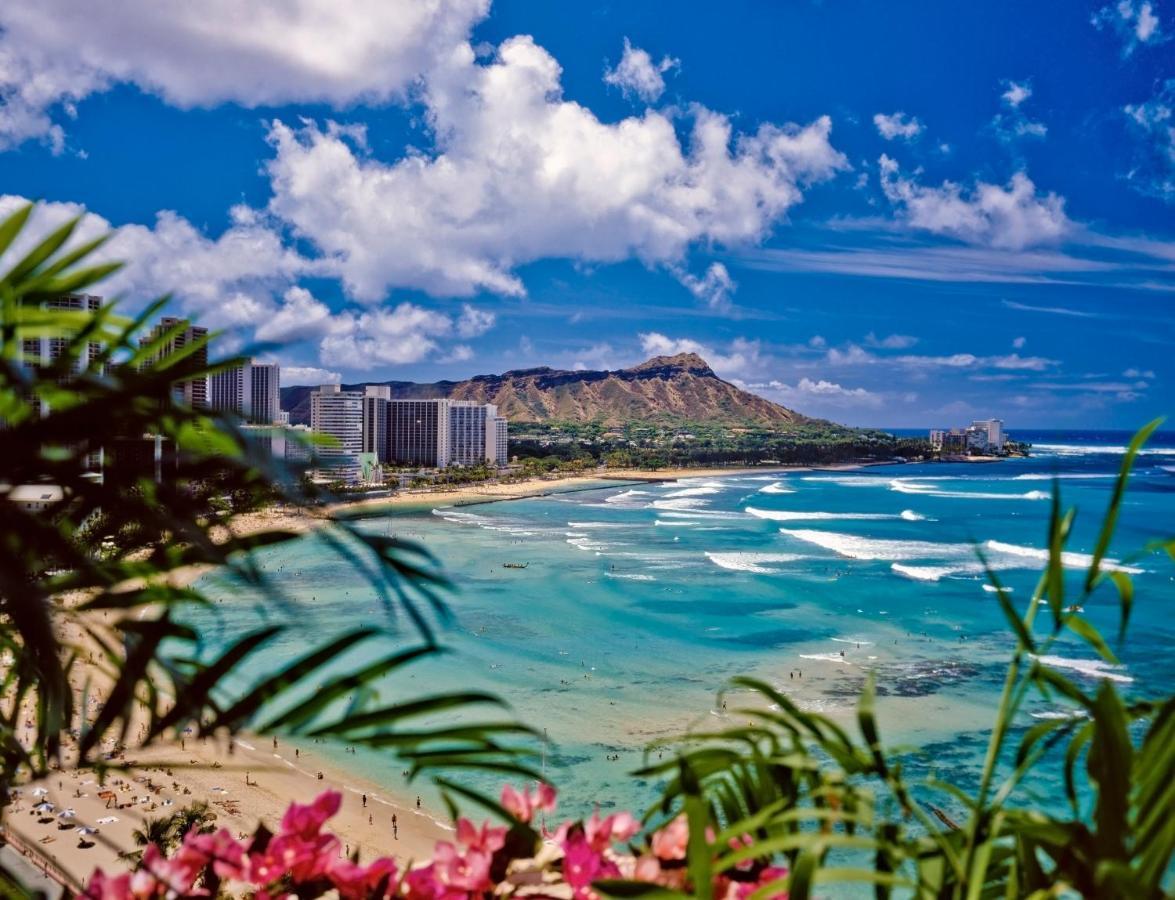 Appartamento Beautifully Upgraded Studio Close To Waikiki Beach Honolulu Esterno foto
